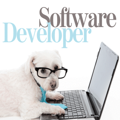 Software Developer Intern